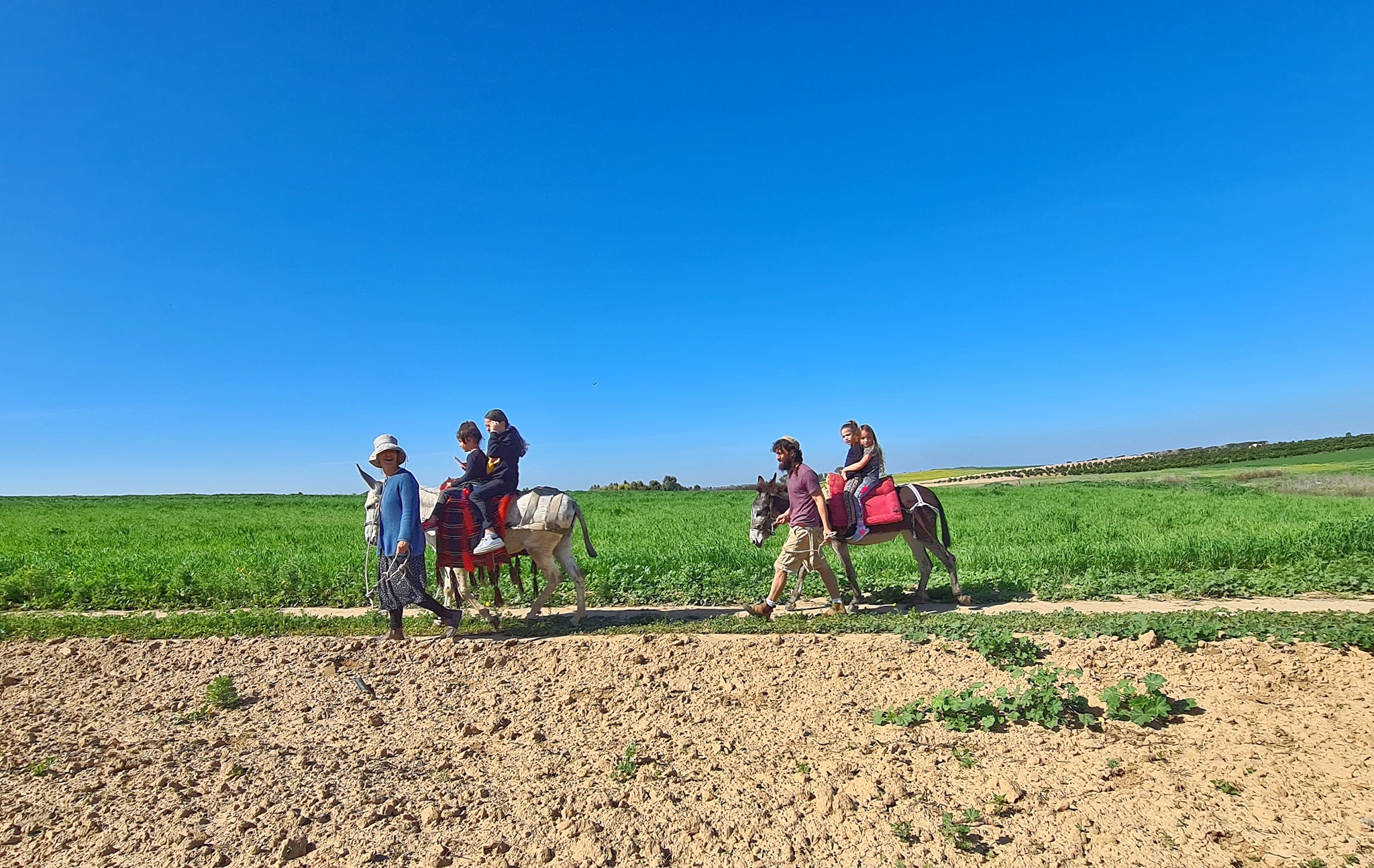 טיולי חמורים